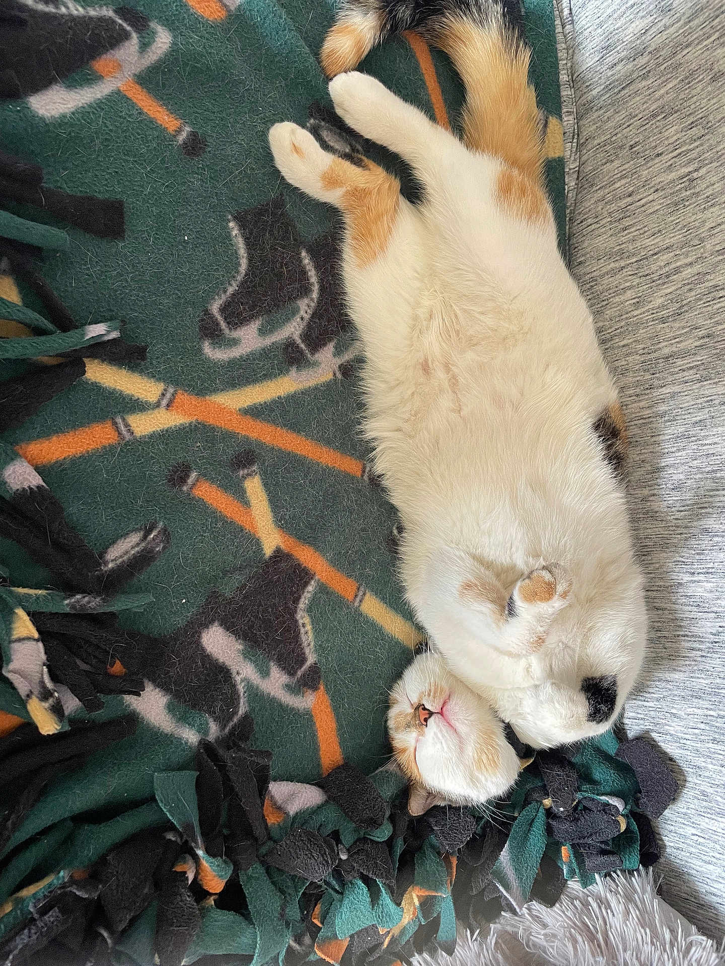 Gizmo