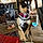 Ms. Tilly
