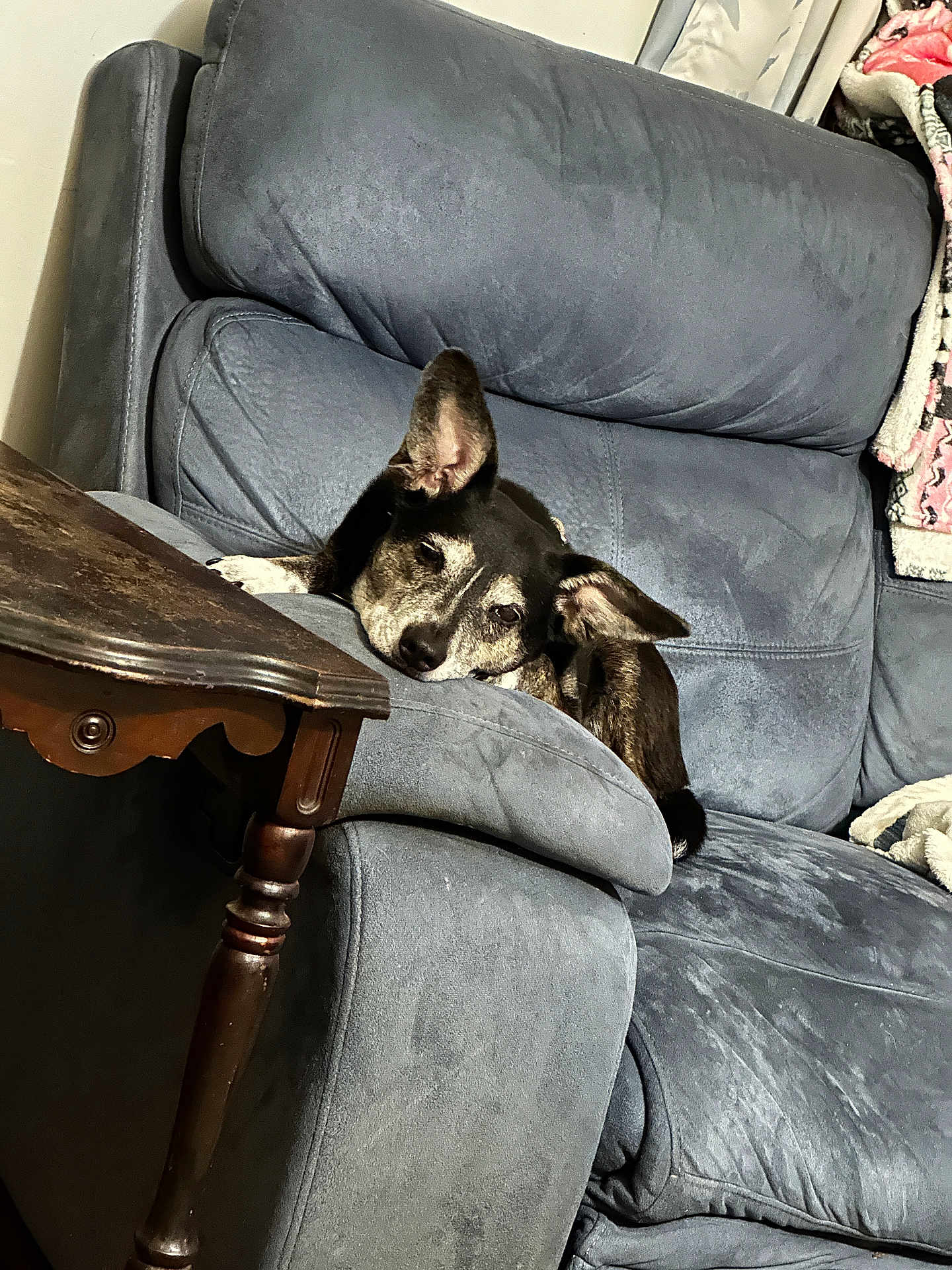 Sammie