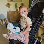 Luna participe au concours pour gagner de l'argent avec cette photo : toddler, stroller, pacifier, toy_dog, blanket, child, indoor, floor, chair, cabinet, plant, mirror, shoes, clothing, person, furniture, window, light, expression, curiosity