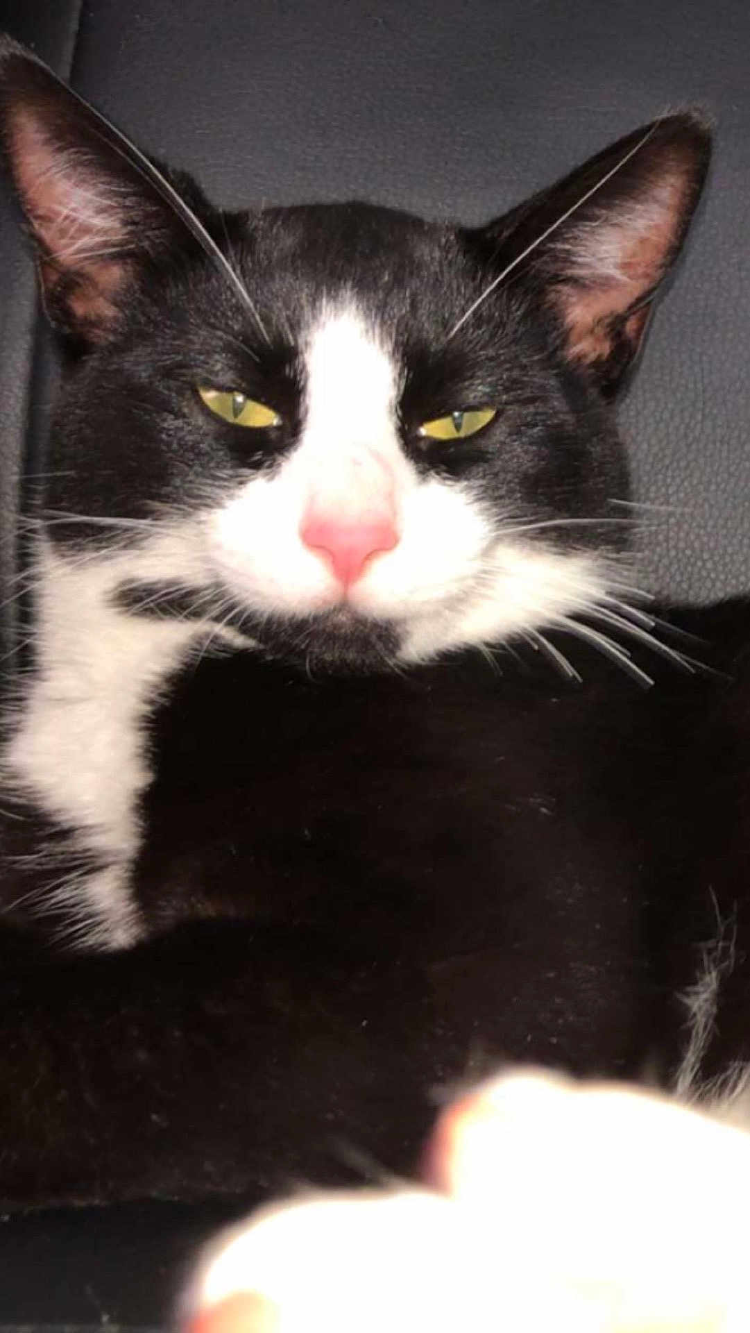 Salazar
