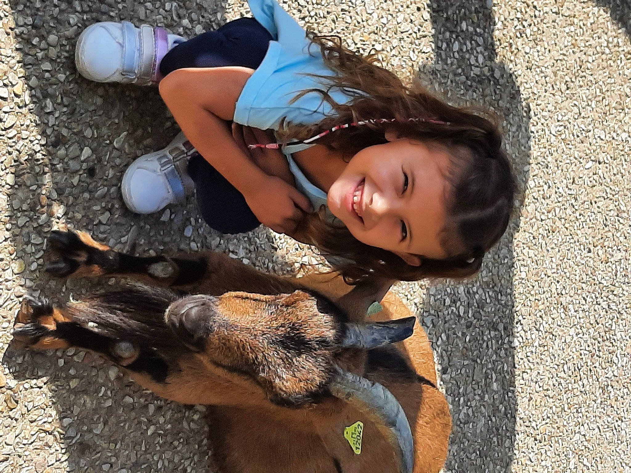 Iliana a rejoint le concours — aidez-le/la à gagner de superbes lots ! boot, denim, dog_breed, face, fun, goat, grass, happy, hat, human_leg, joy, landscape, leg, leisure, light, livestock, person, recreation, reptile, shoe