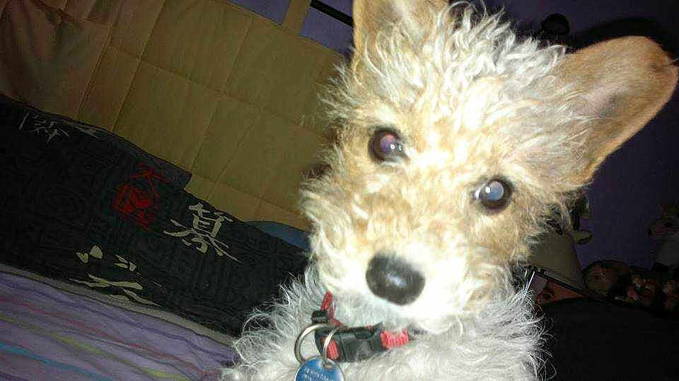 Louna