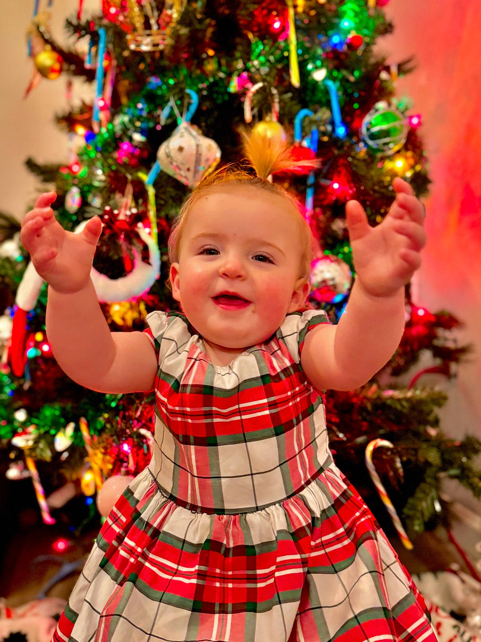 Sadie joined the competition — help win amazing prizes! child, christmas_ornament, christmas_tree, face, facial_expression, fun, green, happy, head, holiday_ornament, human_body, joy, light, ornament, person, photograph, red, smile, standing, tartan