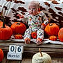 baby, pumpkin, halloween, six_months, milestone, pajamas, orange, white_pumpkin, wooden_bench, cow_print_blanket, fall, outdoor, child, cute, portrait, seasonal, holiday, decor, smiling, celebration