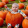 baby, child, pumpkin, pumpkin_patch, grass, outdoor, autumn, fall, halloween, cute, playful, colorful_clothing, nature, seasonal, holiday, sitting, infant, celebration, festive, fun