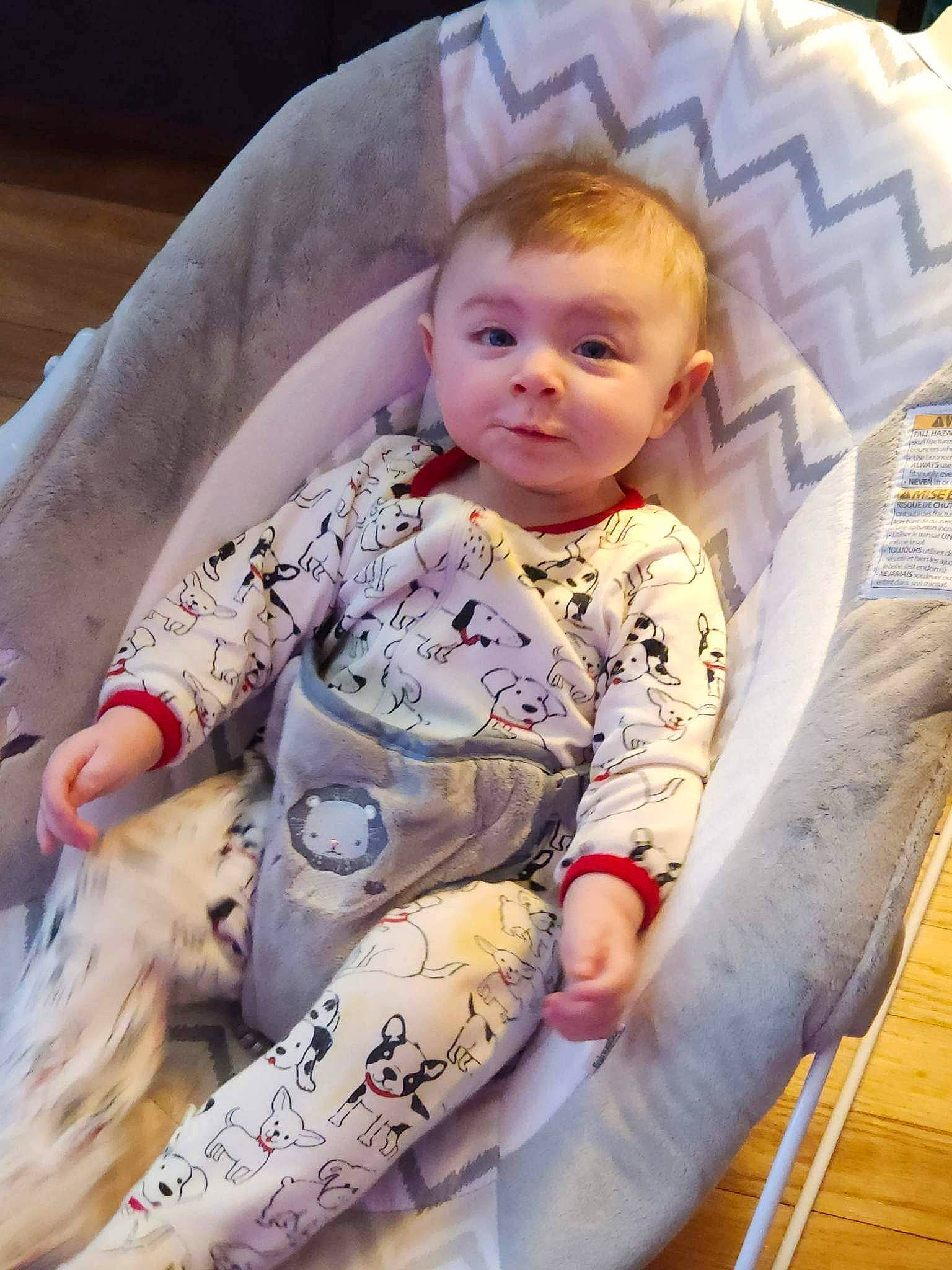 Nova joined the competition — help win amazing prizes! baby, baby_toddler_clothing, chair, cheek, child, comfort, eye, head, human_body, human_leg, iris, lap, linens, mouth, pattern, person, sitting, sleeve, textile, thigh