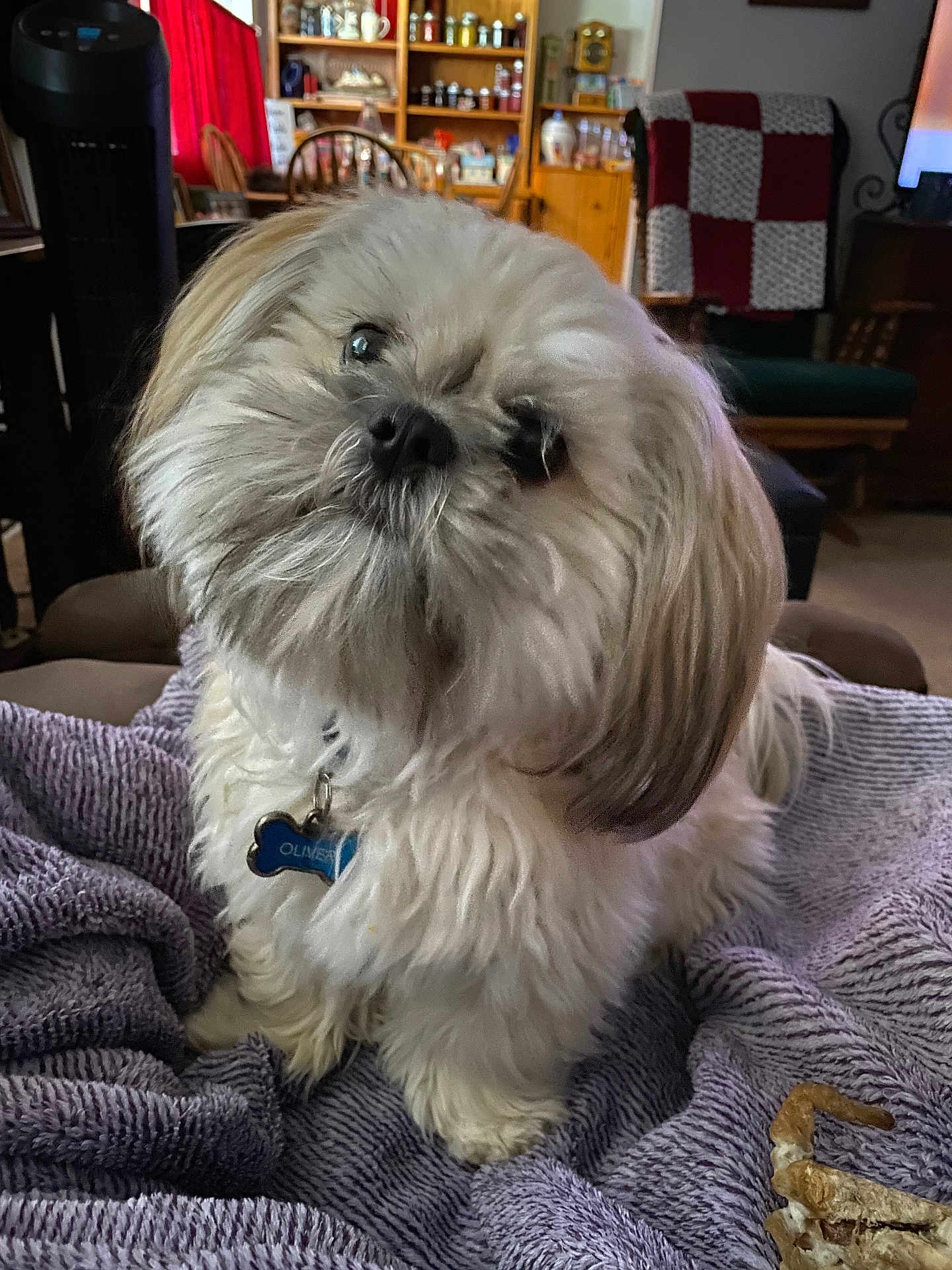 Oliver