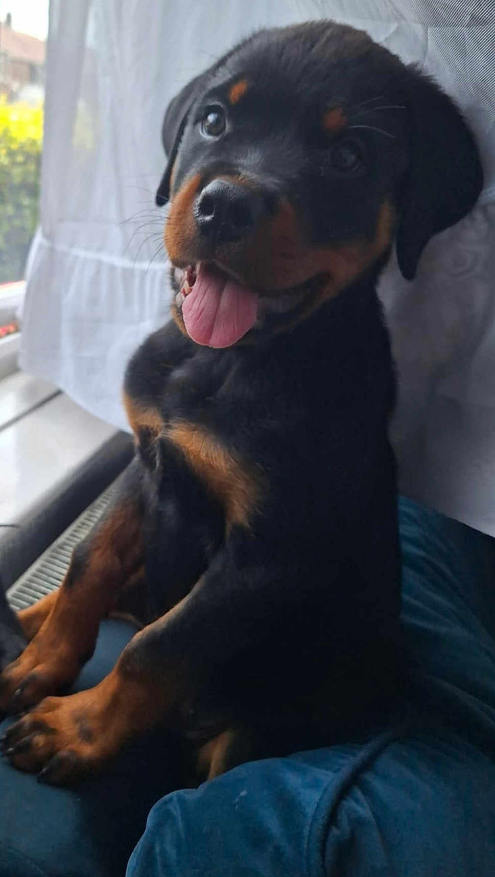 Bruce