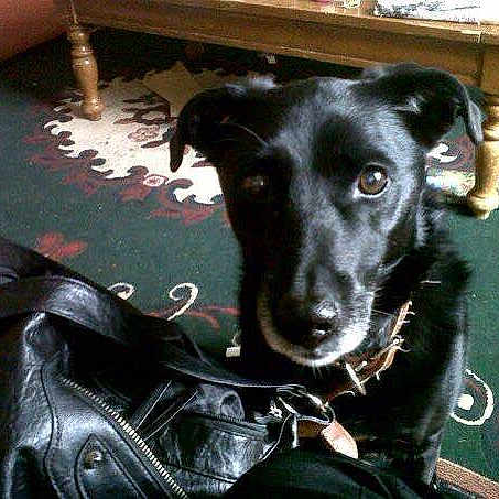 Sally joined the competition — help win amazing prizes!