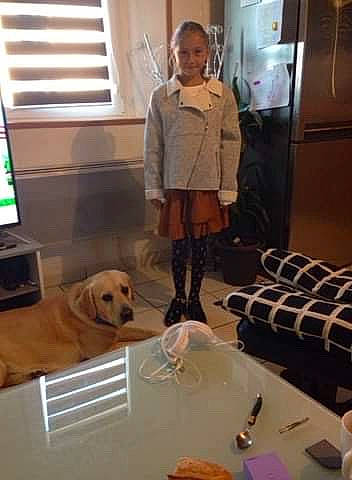 Ethan participe au concours pour gagner de l'argent avec cette photo : canidae, companion_dog, dog, dog_breed, fur, golden_retriever, interior_design, labrador_retriever, leg, outerwear, retriever, room, sporting_group