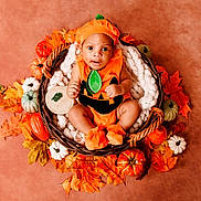 Leandrew is registered to the contest to win money with this photo: baby, pumpkin_costume, basket, autumn_leaves, decorative_pumpkins, orange, fall_theme, infant, cute, portrait, holiday, seasonal, cozy, soft_blanket, holiday_costume, child, festive, smiling, sitting, adorable