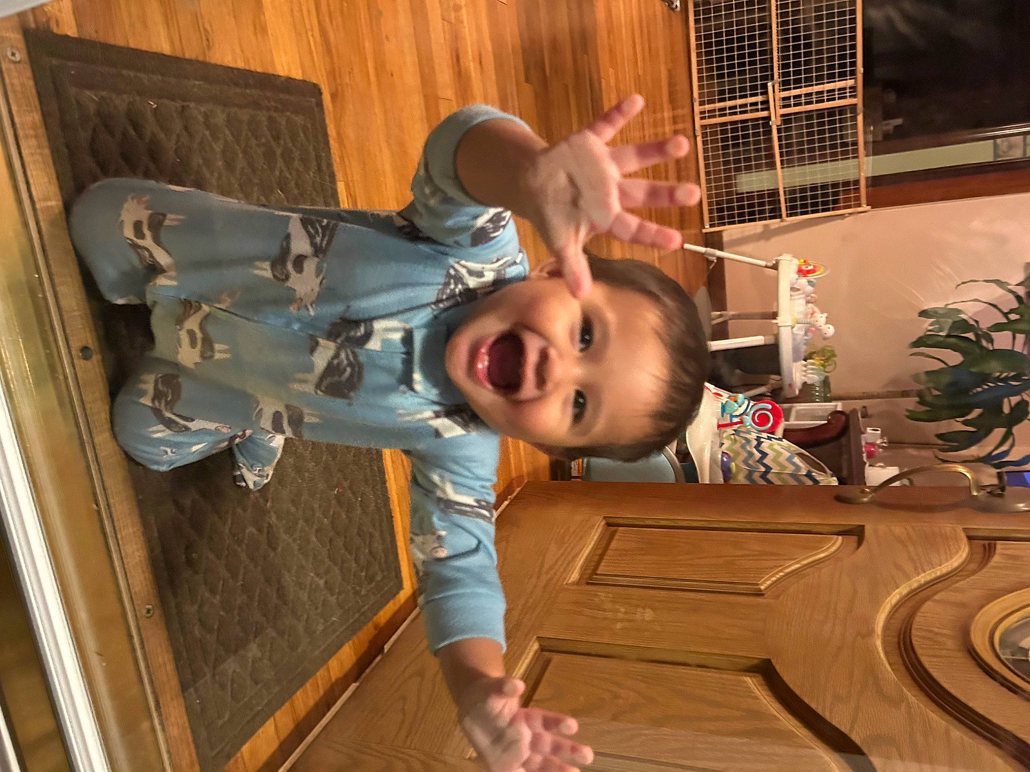 Thiago is registered to the contest to win money with this photo: baby, baby_toddler_clothing, child, comfort, flooring, flowerpot, fun, happy, hardwood, houseplant, person, plant, room, sitting, sleeve, smile, toddler, tree, varnish, window