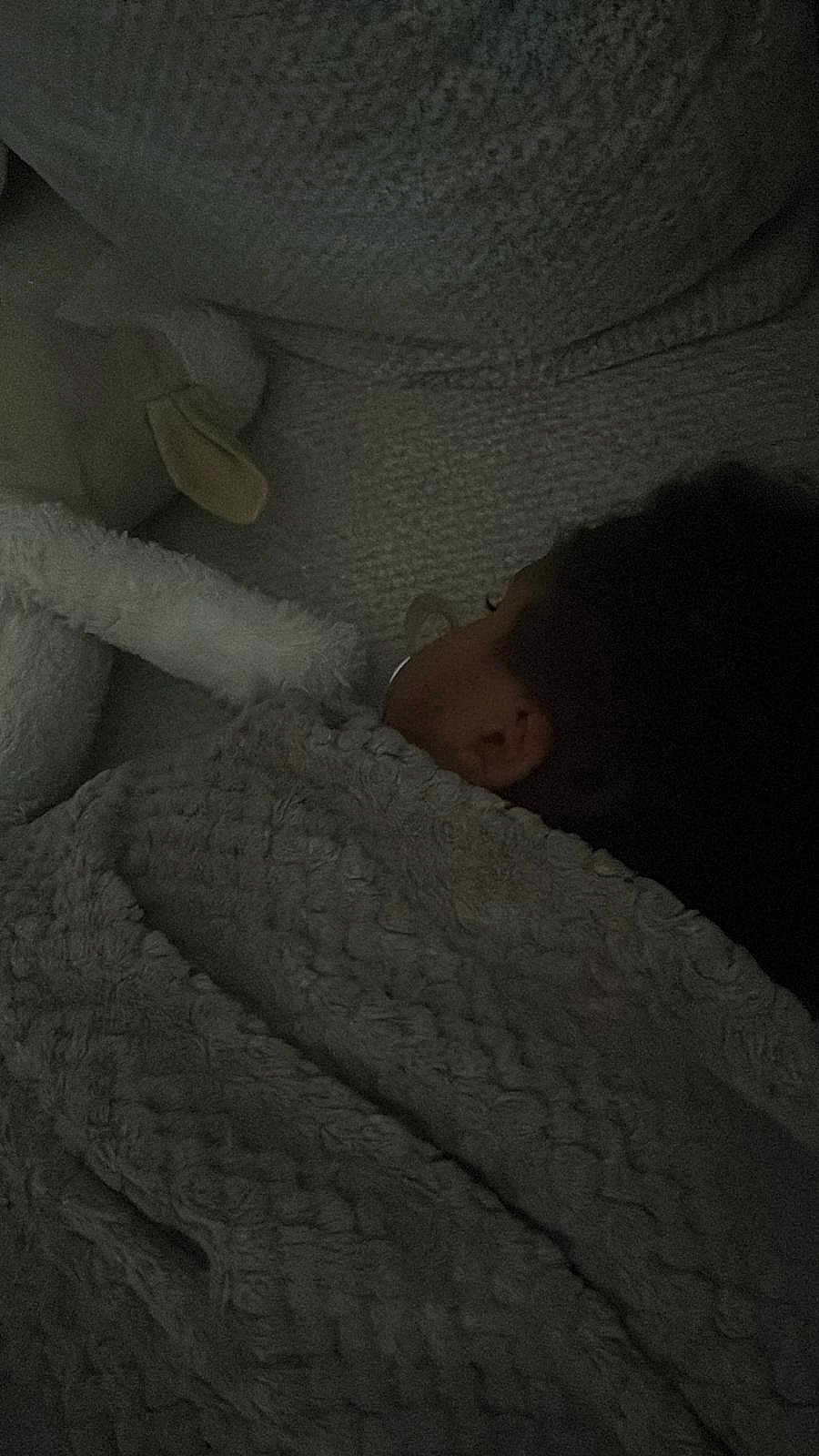 Ange participe au concours pour gagner de l'argent avec cette photo : child, sleeping, blanket, plush_toy, cozy, dark, bed, rest, comfort, soft, head, peaceful, indoors, cushion, nap, quiet, warm, texture, fur, relaxation