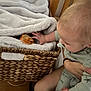 Caden joined the competition — help win amazing prizes! baby, child, reptile, bearded_dragon, basket, blanket, hand, person, indoor, furniture, wood, foot, clothing, animal, pet, curious, soft, texture, closeup, interaction