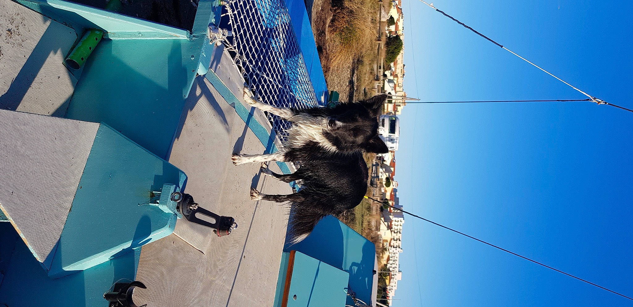 Iska participe au concours pour gagner de l'argent avec cette photo : azure, blue, building, city, electric_blue, electrical_supply, electrical_wiring, electricity, facade, line, overhead_power_line, public_utility, rope, sky, snout, tower, tree, twig, window, wire