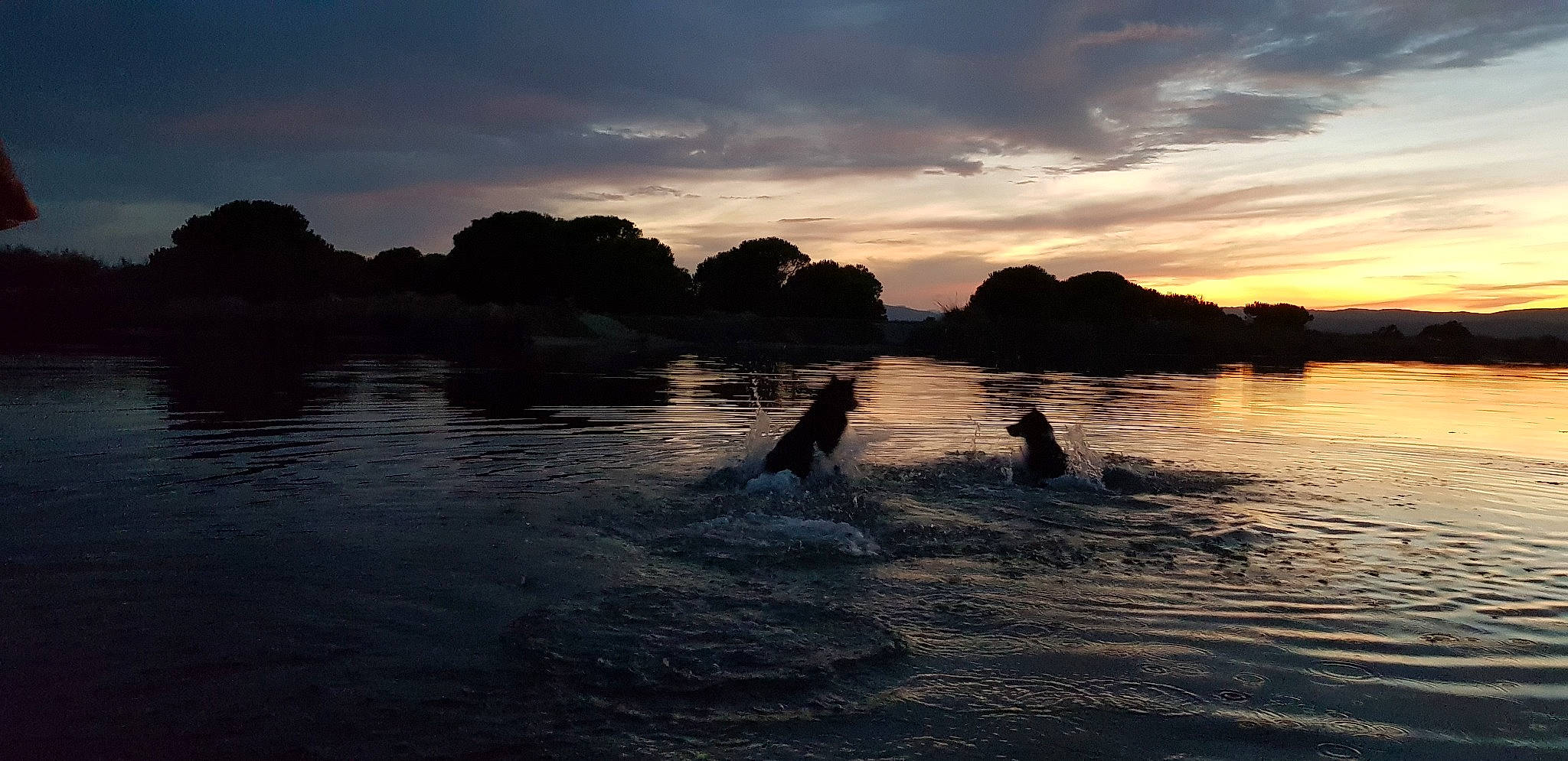 Iska participe au concours pour gagner de l'argent avec cette photo : afterglow, calm, cloud, coastal_and_oceanic_landforms, cumulus, dusk, horizon, lake, landscape, recreation, sky, sunlight, sunrise, sunset, tree, water, water_resources, watercourse, wind, wind_wave