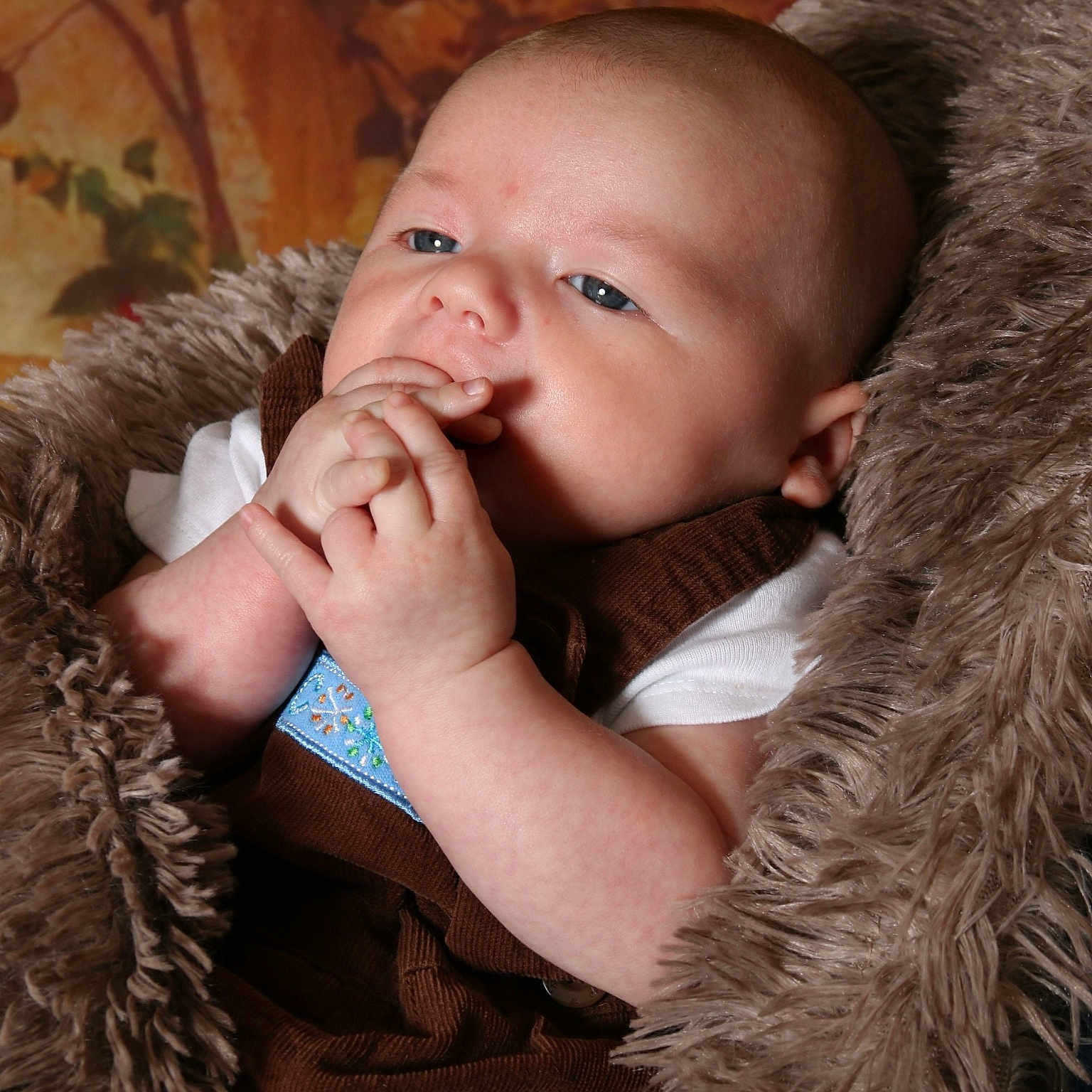 Weston joined the competition — help win amazing prizes! baby, infant, child, portrait, face, eyes, hands, fingers, smiling, curious, lying_down, blanket, fluffy, brown, clothing, indoor, cozy, close_up, photography, safe