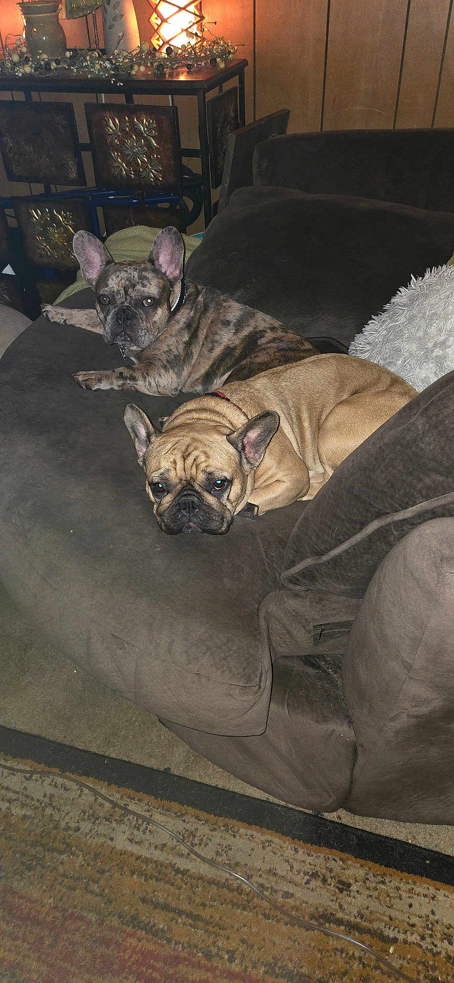 Sadie And Winston