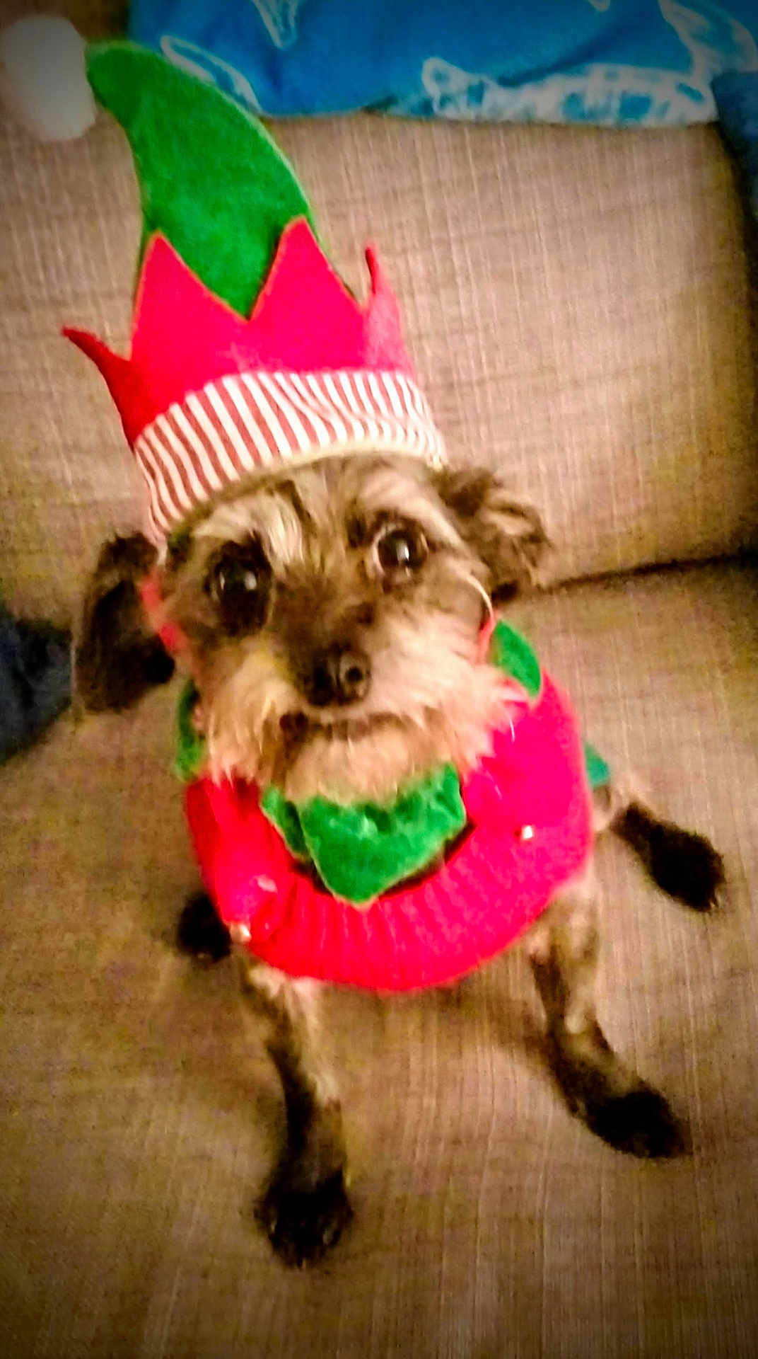 Coco