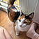 Noisette