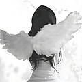 Loane S.