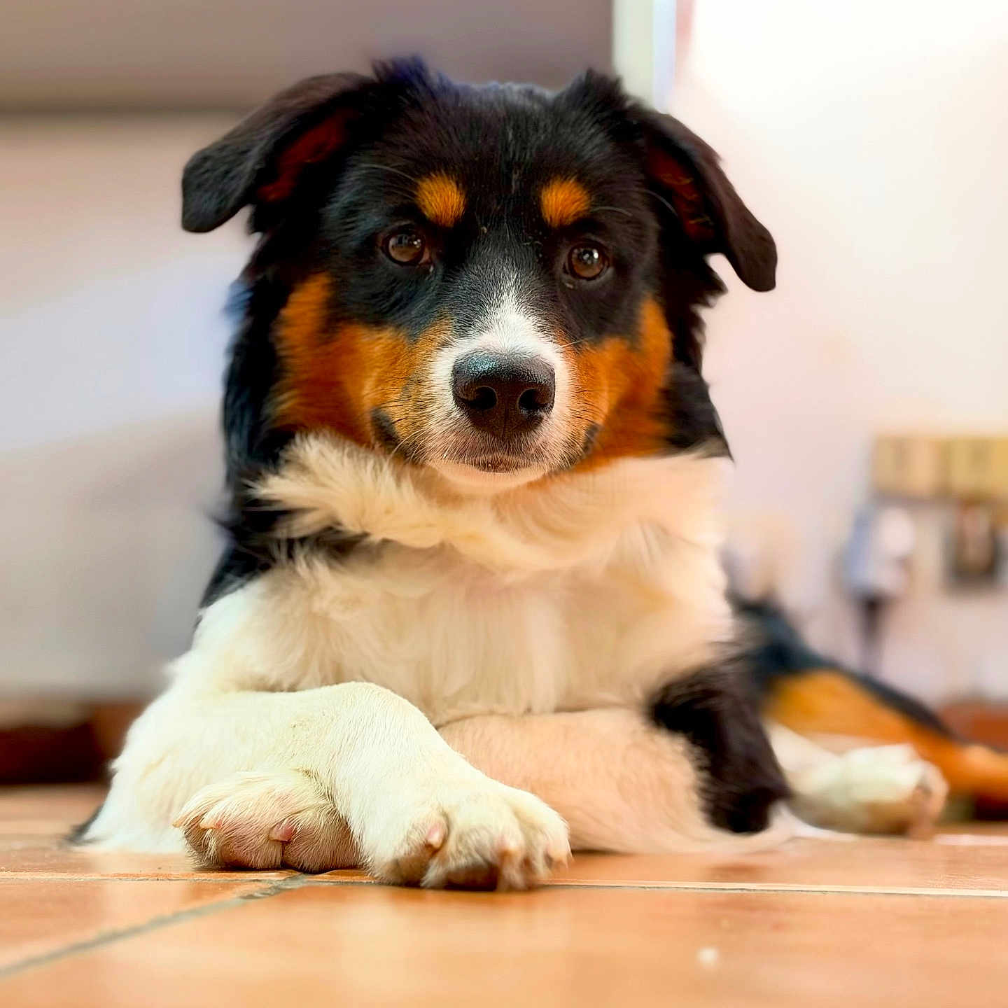 Bailey
