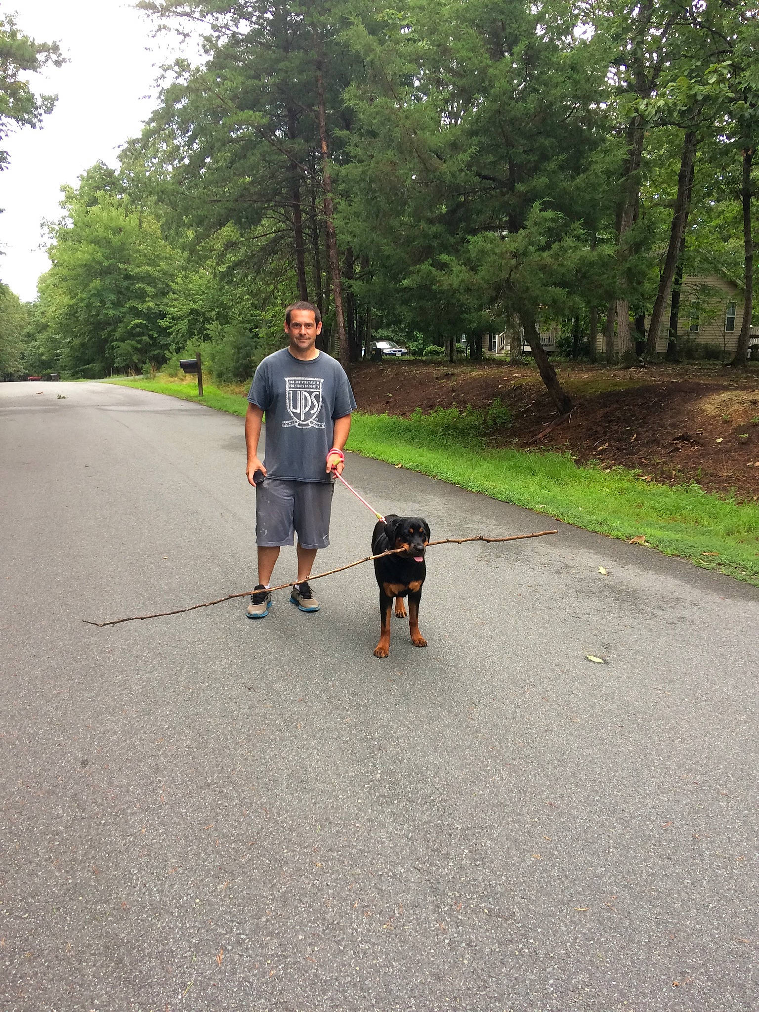 Calypso joined the competition — help win amazing prizes! asphalt, canidae, dog_walking, lane, leash, leisure, product, recreation, road, road_surface, thoroughfare, tree, vacation, vehicle, walking