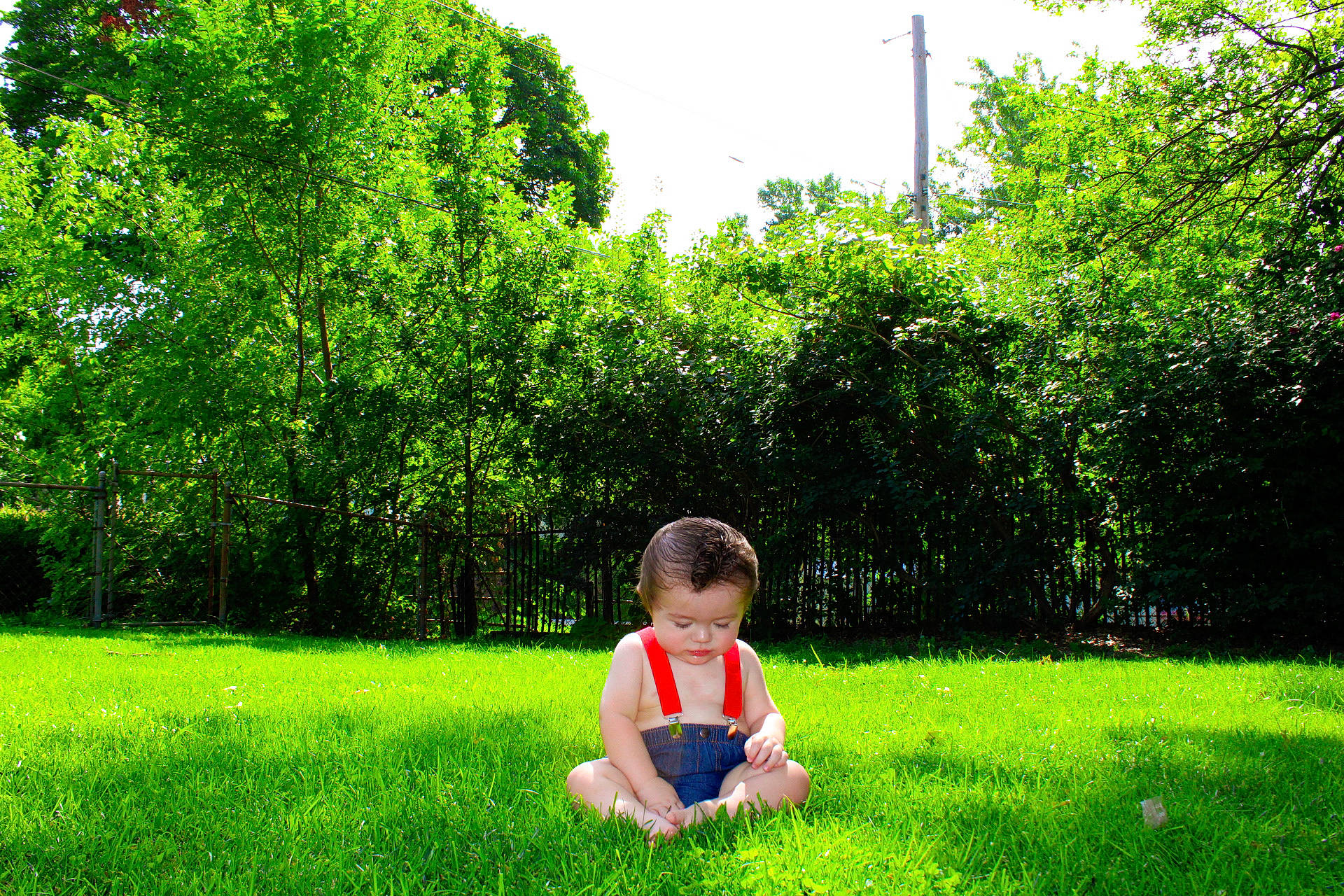 Tennessee is registered to the contest to win money with this photo: baby, grass, grass_family, grassland, green, groundcover, happy, landscape, leisure, meadow, natural_landscape, people_in_nature, person, plant, recreation, shrub, sky, sunlight, tints_and_shades, toddler