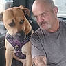 Buddy joined the competition — help win amazing prizes! adult, brown_dog, closeup, companion, dog, expression, friendship, gray_shirt, harness, human, indoor, looking, man, pet, seated, short_hair, side_view, tattoo, vehicle, window