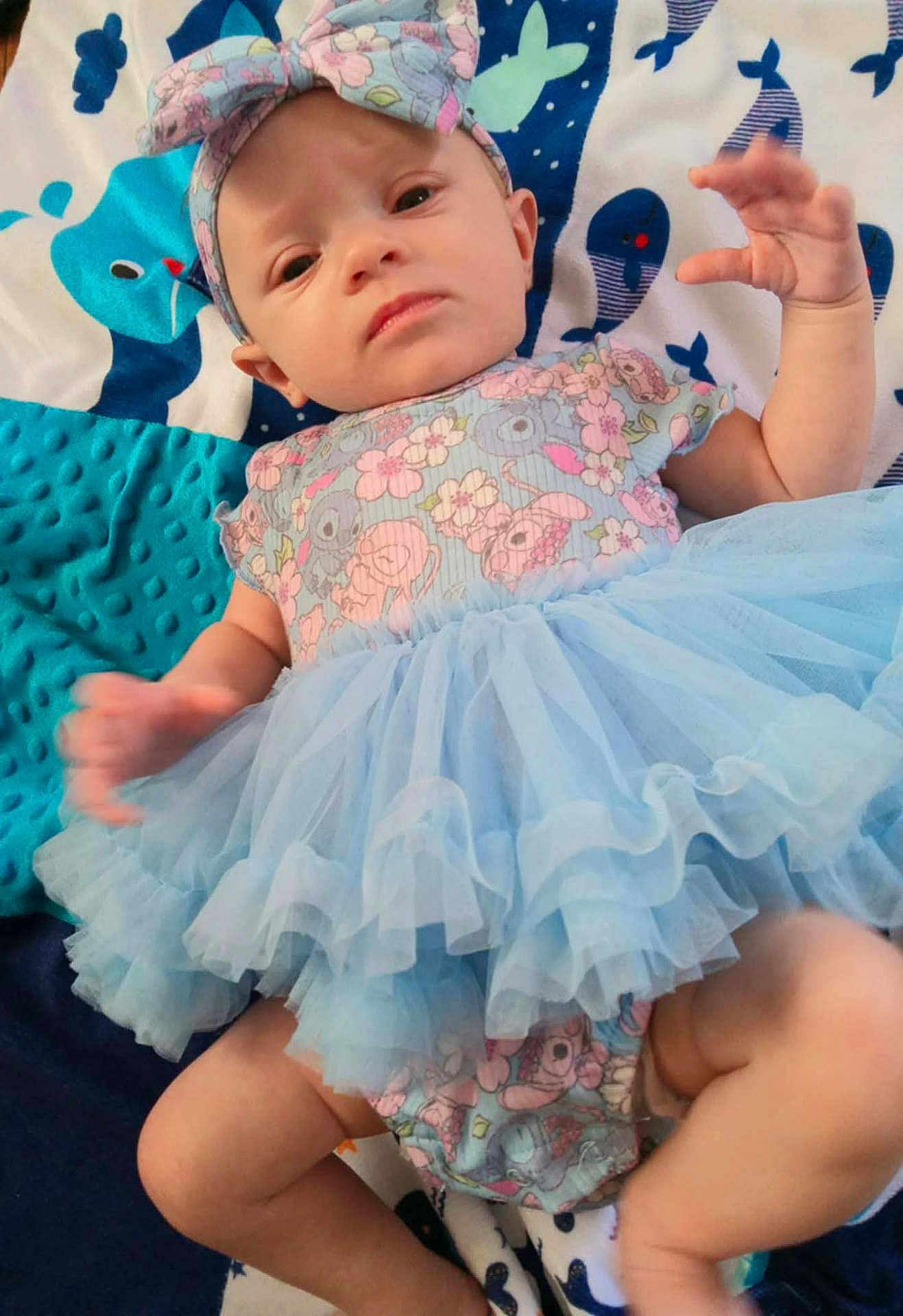 Joyce is registered to the contest to win money with this photo: baby, infant, blue_dress, headband, blanket, whale_pattern, cute, tutu, clothing, lying_down, hand_motion, expression, child, soft_texture, fabric, playful, indoors, portrait, close_up, small_person