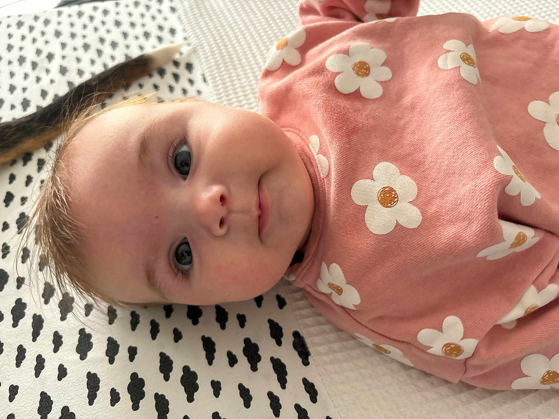 Héléna participe au concours pour gagner de l'argent avec cette photo : baby, infant, child, face, pink_clothing, floral_pattern, blanket, patterned_blanket, eyes, cute, lying_down, young_child, soft_texture, indoors, portrait, closeup, skin, head, expression, adorable