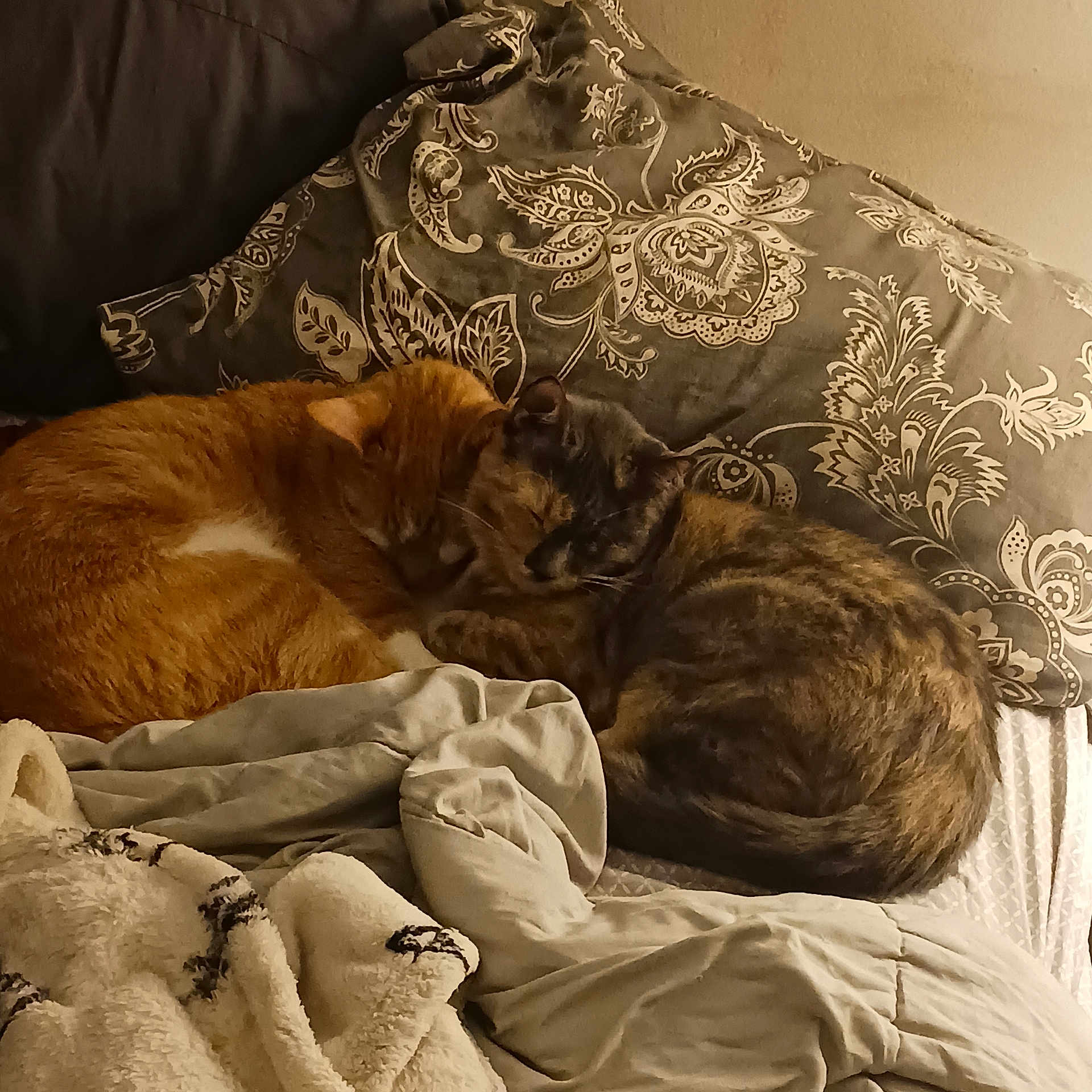 Precious N Garfield