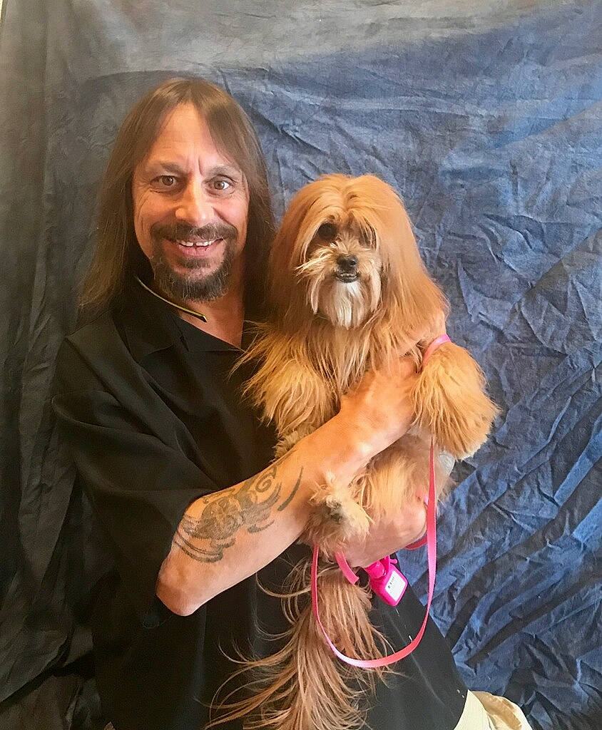 Sammy No No joined the competition — help win amazing prizes! canidae, carnivore, chewbacca, companion_dog, dog, dog_breed, lhasa_apso, sporting_group