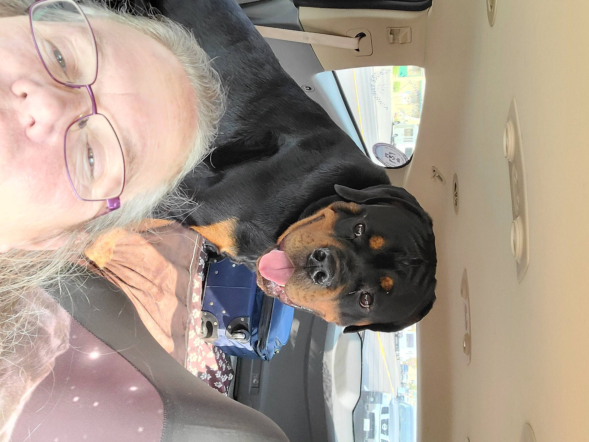 Nemo is registered to the contest to win money with this photo: black_hair, brassiere, car, chest, cool, eyewear, fun, glasses, happy, headgear, long_hair, mouth, personal_protective_equipment, selfie, smile, sunglasses, swimwear, thigh, vehicle_door, vision_care