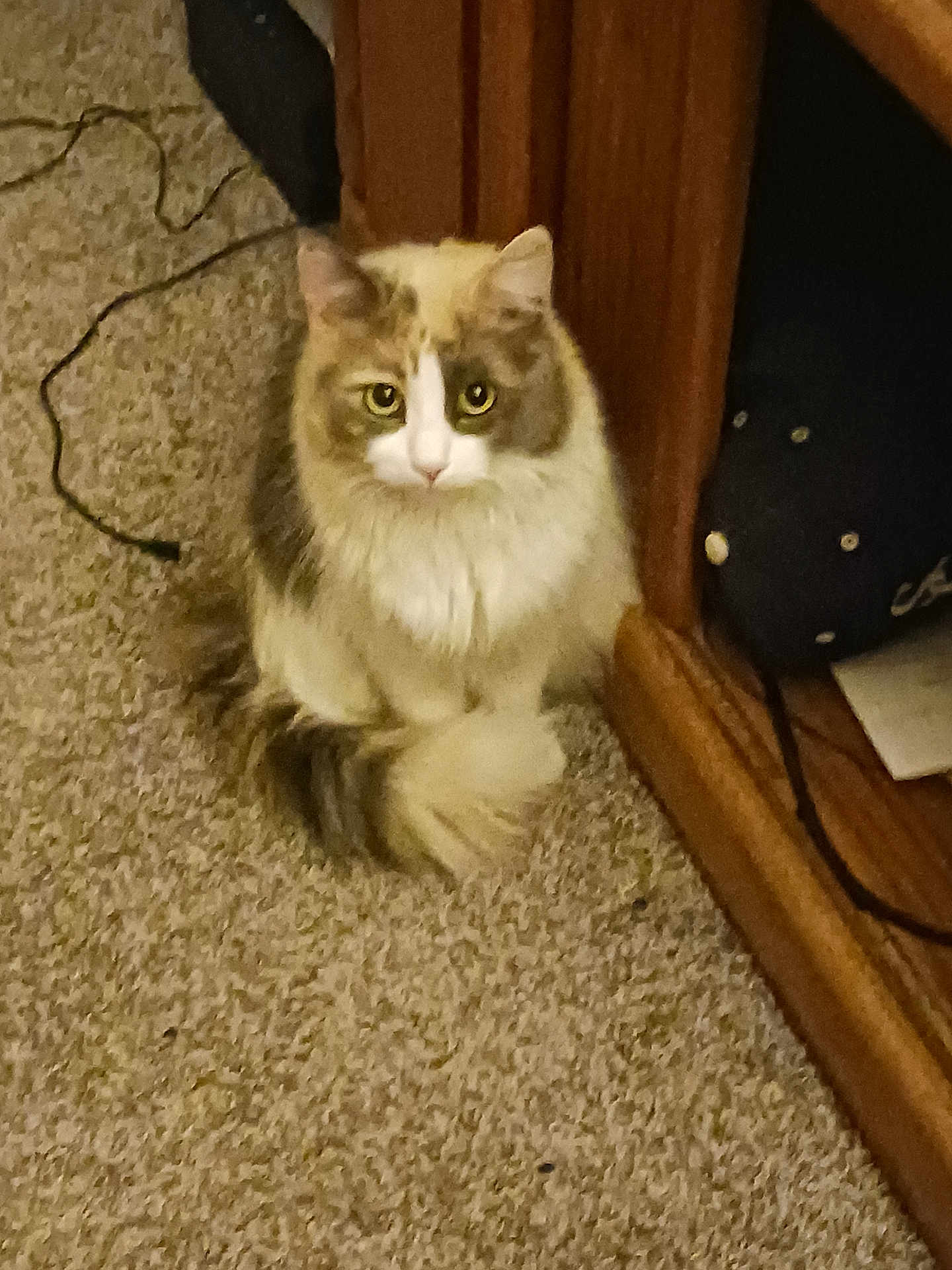 Lee