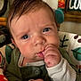 Hudson joined the competition — help win amazing prizes! baby, infant, face, hand, thumb, blue_eyes, curious, expression, clothing, baby_seat, patterned_fabric, toy, monkey_toy, indoor, portrait, close_up, child, cute, home, colorful