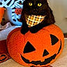 black_cat, yellow_eyes, plaid_bandana, plush_pumpkin, jack_o_lantern_face, halloween, pumpkin_pattern, blanket, decor, indoor, cozy, cute, pet, animal, feline, orange, black, soft_texture, holiday, festive