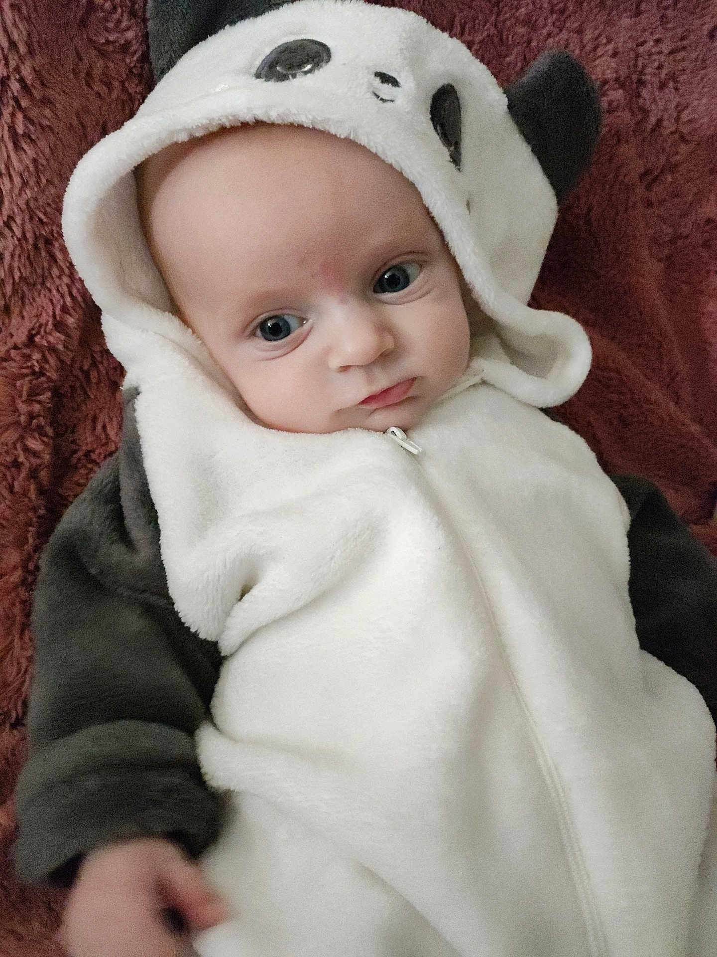 Matteo participe au concours pour gagner de l'argent avec cette photo : baby, infant, panda_onesie, hooded_clothing, white, black, soft_fabric, blanket, closeup, portrait, cute, child, young, face, expression, indoor, cozy, warm, sleepwear, small_hand