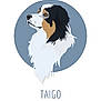 advertisement, animal, appenzeller, bird, canine, cockerspaniel, collie, dog, homedecor, hound, logo, mat, papillon, pet, poster, puppy, saintbernard, snout, stencil, sticker