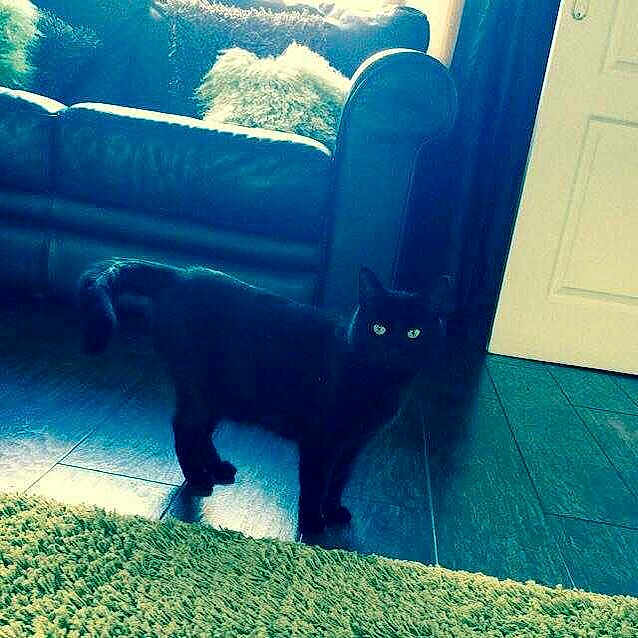 Kaisha joined the competition — help win amazing prizes!