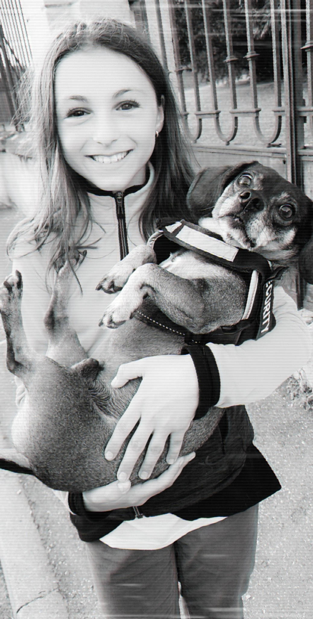 Rihanna participe au concours pour gagner de l'argent avec cette photo : black, black_and_white, carnivore, companion_dog, dog, dog_breed, facial_expression, fawn, gesture, happy, joy, monochrome, monochrome_photography, organ, people, person, photograph, smile, snapshot, style