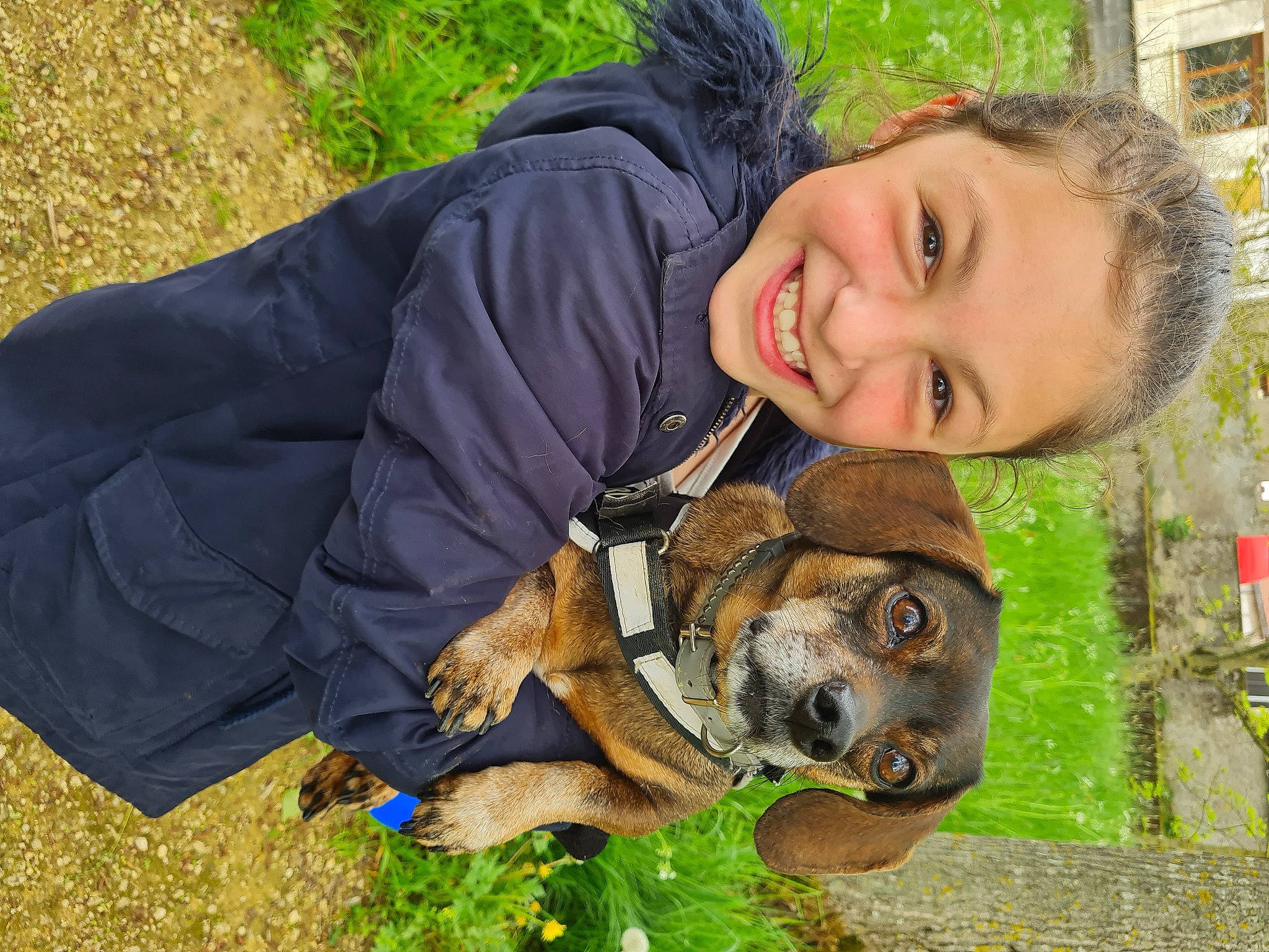 Rihanna a rejoint le concours — aidez-le/la à gagner de superbes lots ! canidae, carnivore, companion_dog, dog, dog_breed, fawn, fun, grass, guard_dog, happy, joy, laugh, leisure, people_in_nature, person, plant, sitting, smile, sporting_group, toddler