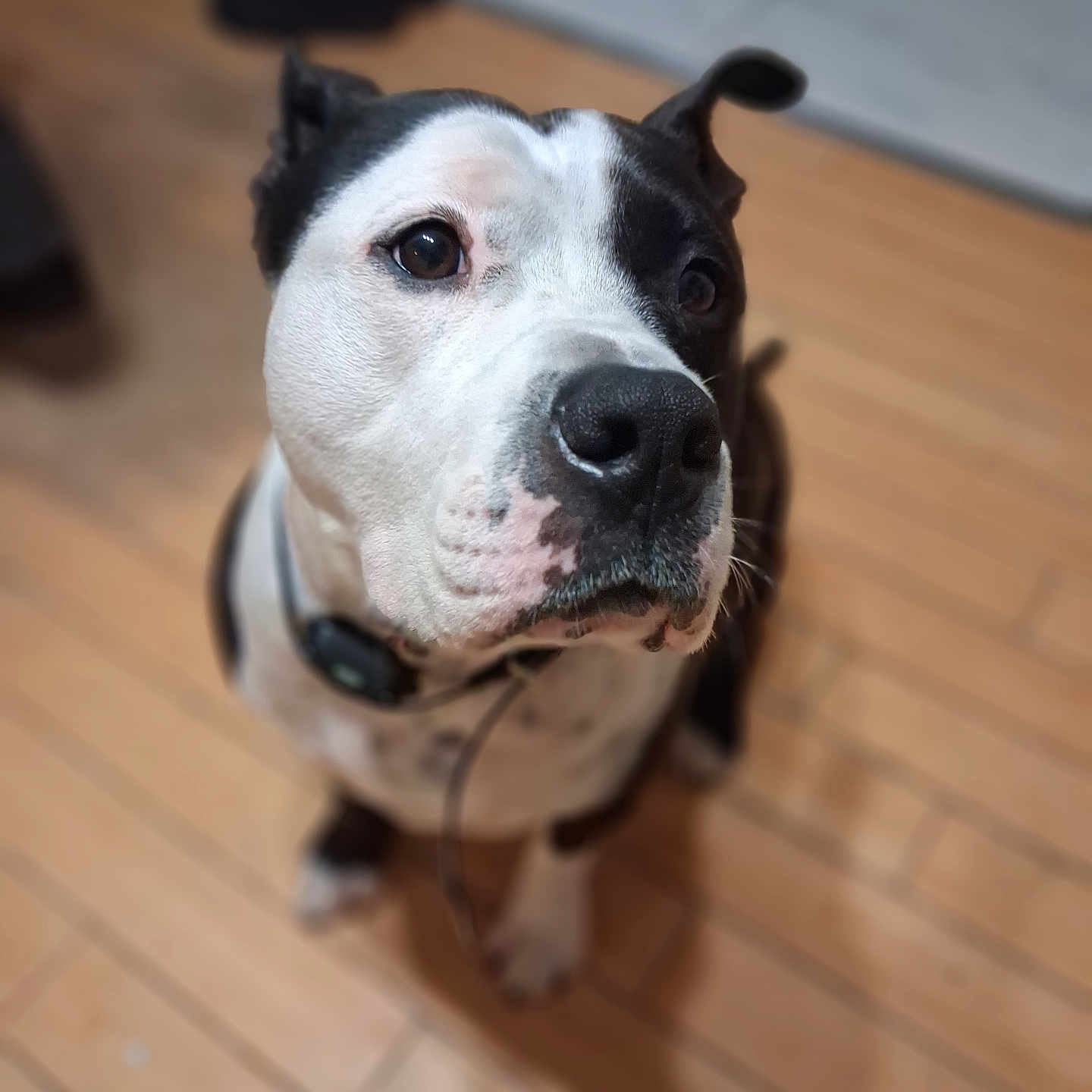 Taïko
