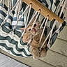 cat, orange_tabby, hammock, rope, striped, chair, outdoor, floor, wooden, relaxing, pet, cute, feline, cozy, playful, animal, resting, paw, looking, curious