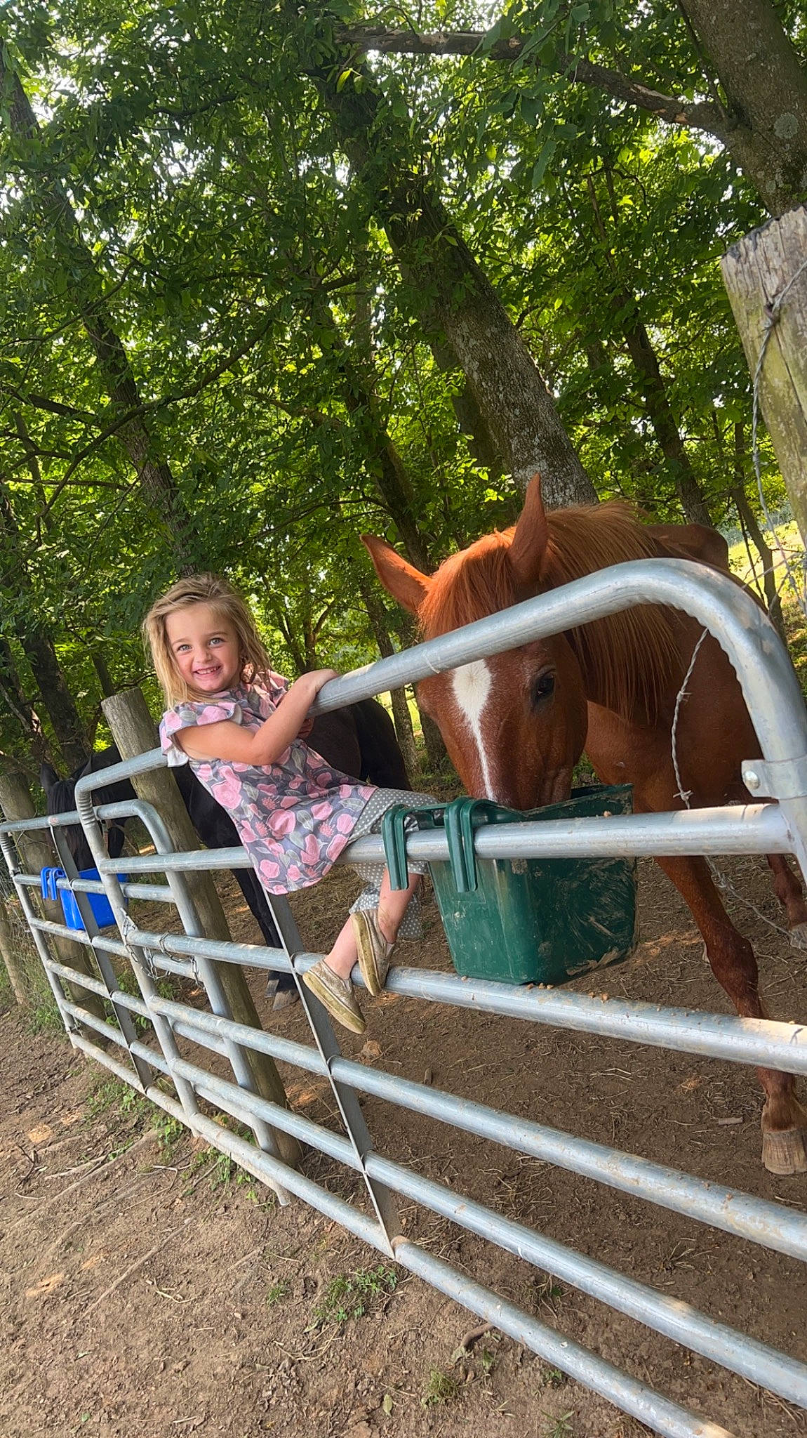 Lakyn joined the competition — help win amazing prizes! city, dress, fun, grass, happy, joy, landscape, leisure, outdoor_play_equipment, outdoor_recreation, people_in_nature, person, plant, playground, recreation, sitting, stairs, t_shirt, toddler, tree