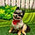Jack
