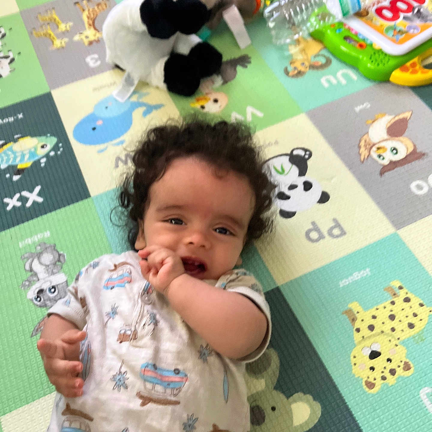 Selyan Boussaada joined the competition — help win amazing prizes! alphabet, animal_print, baby, child, colorful, curly_hair, cute, giraffe, hand, indoor, infant, koala, lying_down, panda, play_mat, playtime, smile, stuffed_animal, toy, whale