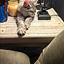cat, gray_cat, table, wooden_table, lamp, candle, indoor, pet, feline, resting, stretching, cozy, home, furniture, relaxed, animal, whiskers, ears, paws, calm
