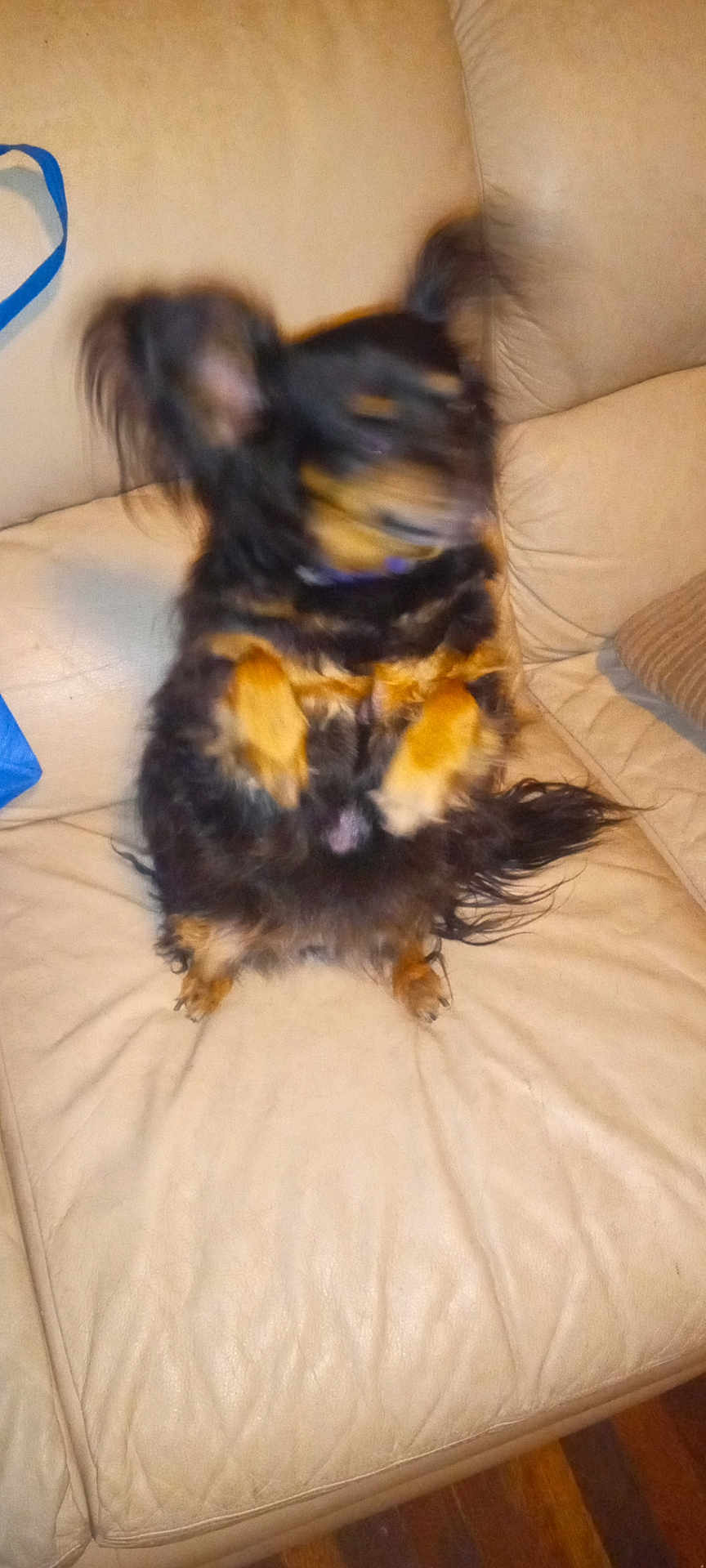 Freya